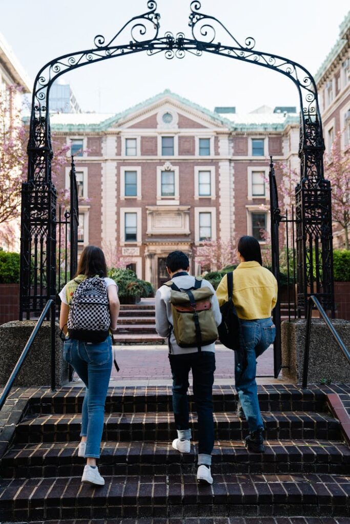 College Admission Essay Help College Admission Essay